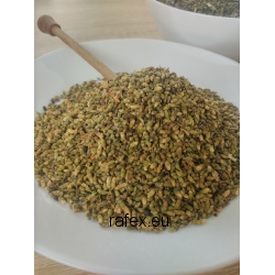 Perełkowiec Japoński Tinctura Sophorae Japonicae 1 Kg